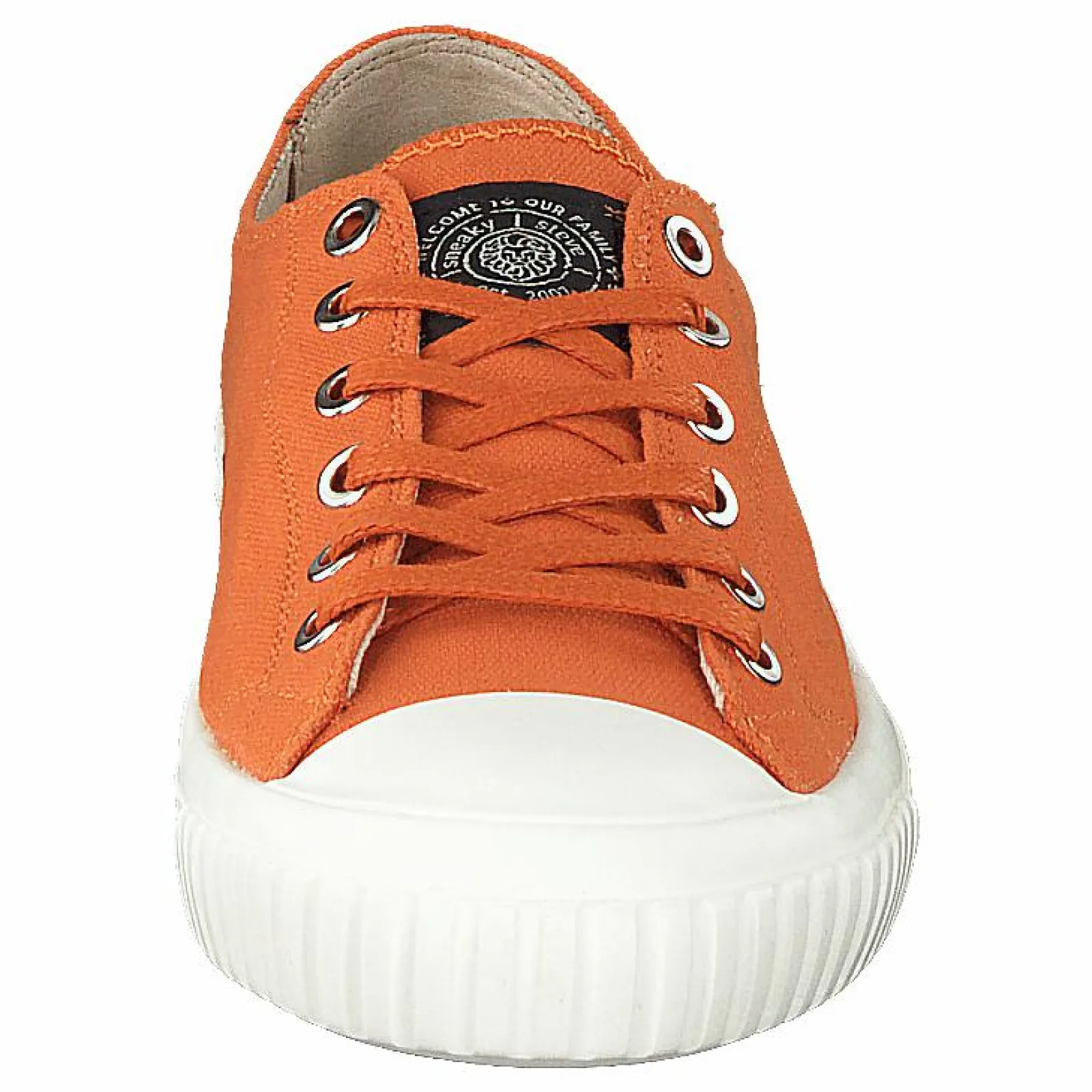 Sneaky Steve Swing Low Burned