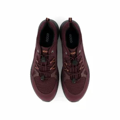 ECCO Terracruise II W Fig/fig