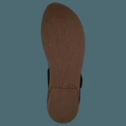 El Naturalista Tulip Ibón Black