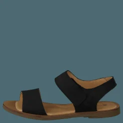 El Naturalista Tulip Ibón Black