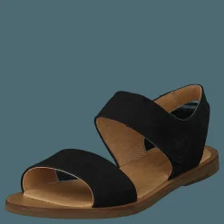 El Naturalista Tulip Ibón Black