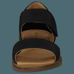 El Naturalista Tulip Ibón Black