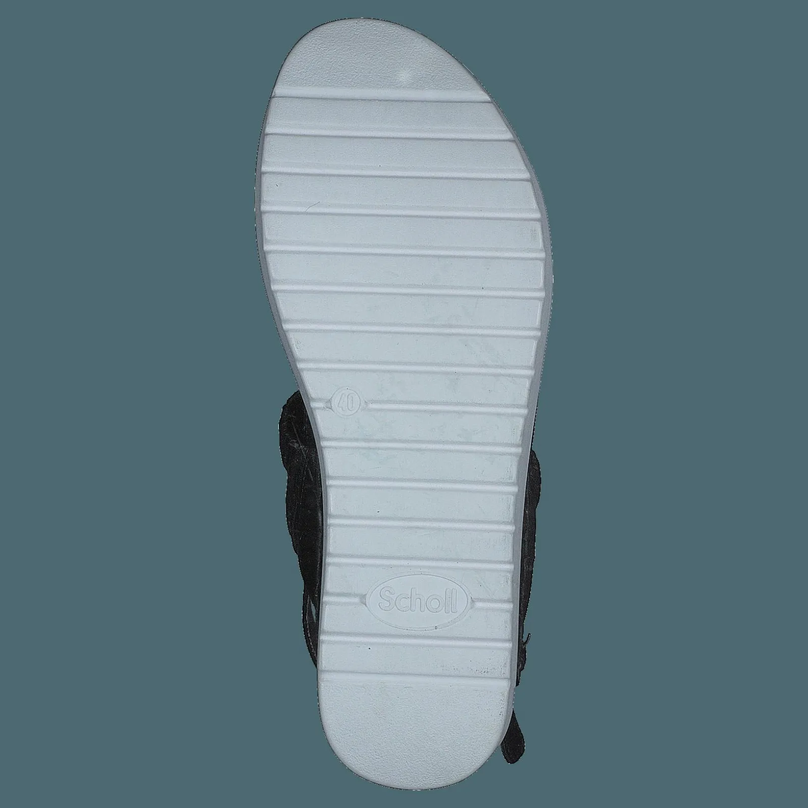 Scholl Viareggio Elastic Black