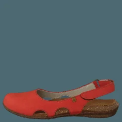 El Naturalista Wakataua Coral