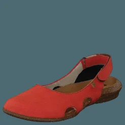 El Naturalista Wakataua Coral