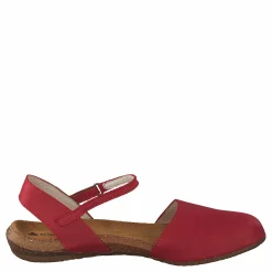 El Naturalista Wakatauan412 Tibet