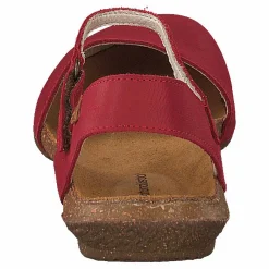 El Naturalista Wakatauan412 Tibet