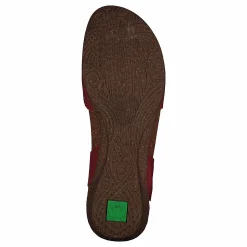 El Naturalista Wakatauan412 Tibet