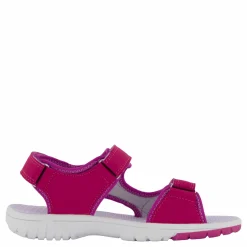 Barn Pax Went Purple Orchid