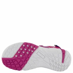 Barn Pax Went Purple Orchid