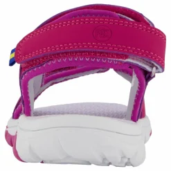 Barn Pax Went Purple Orchid