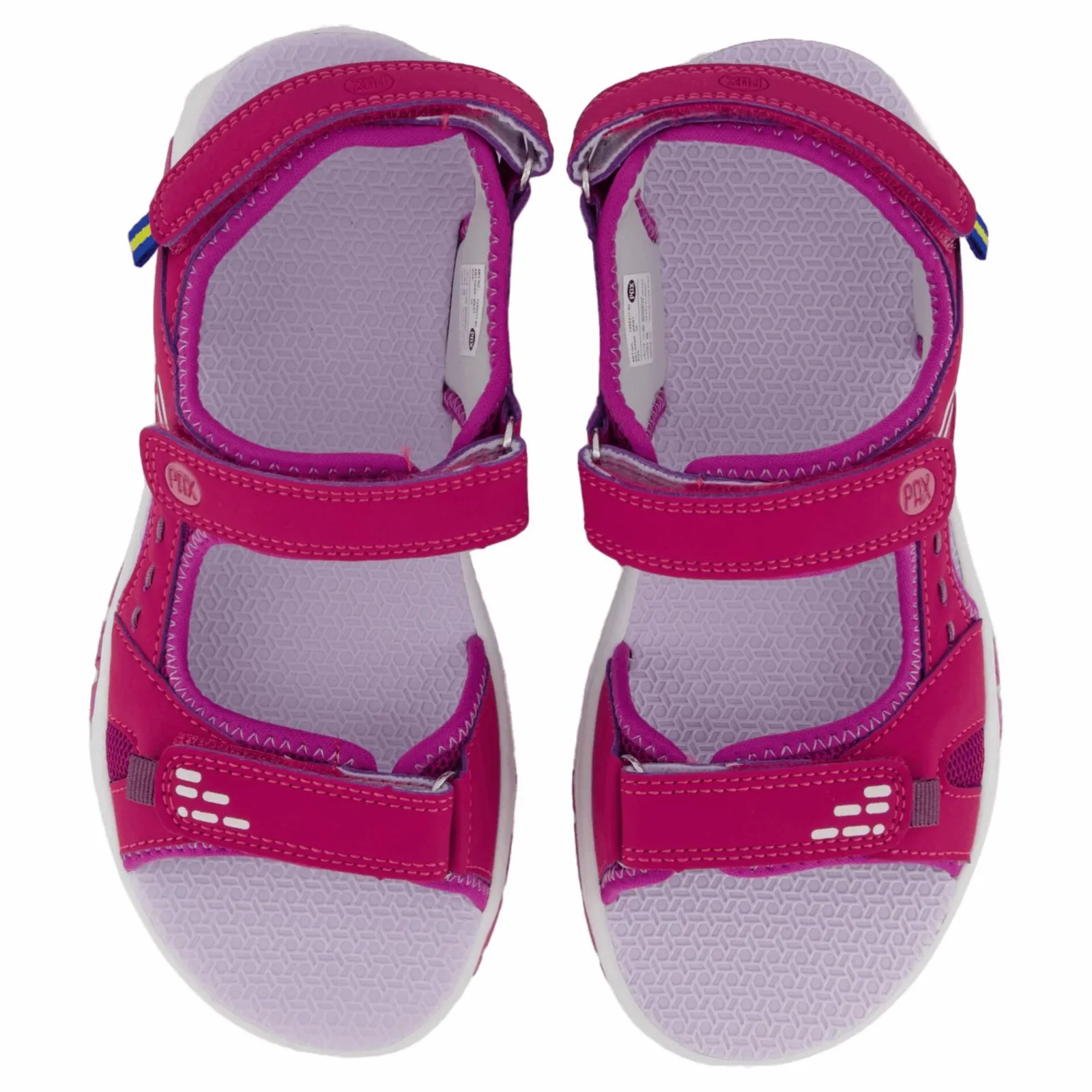 Barn Pax Went Purple Orchid