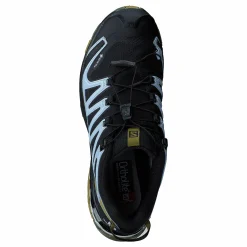 Salomon Xa Pro 3d V8 Gtx W Black/green Moss/zen Blue