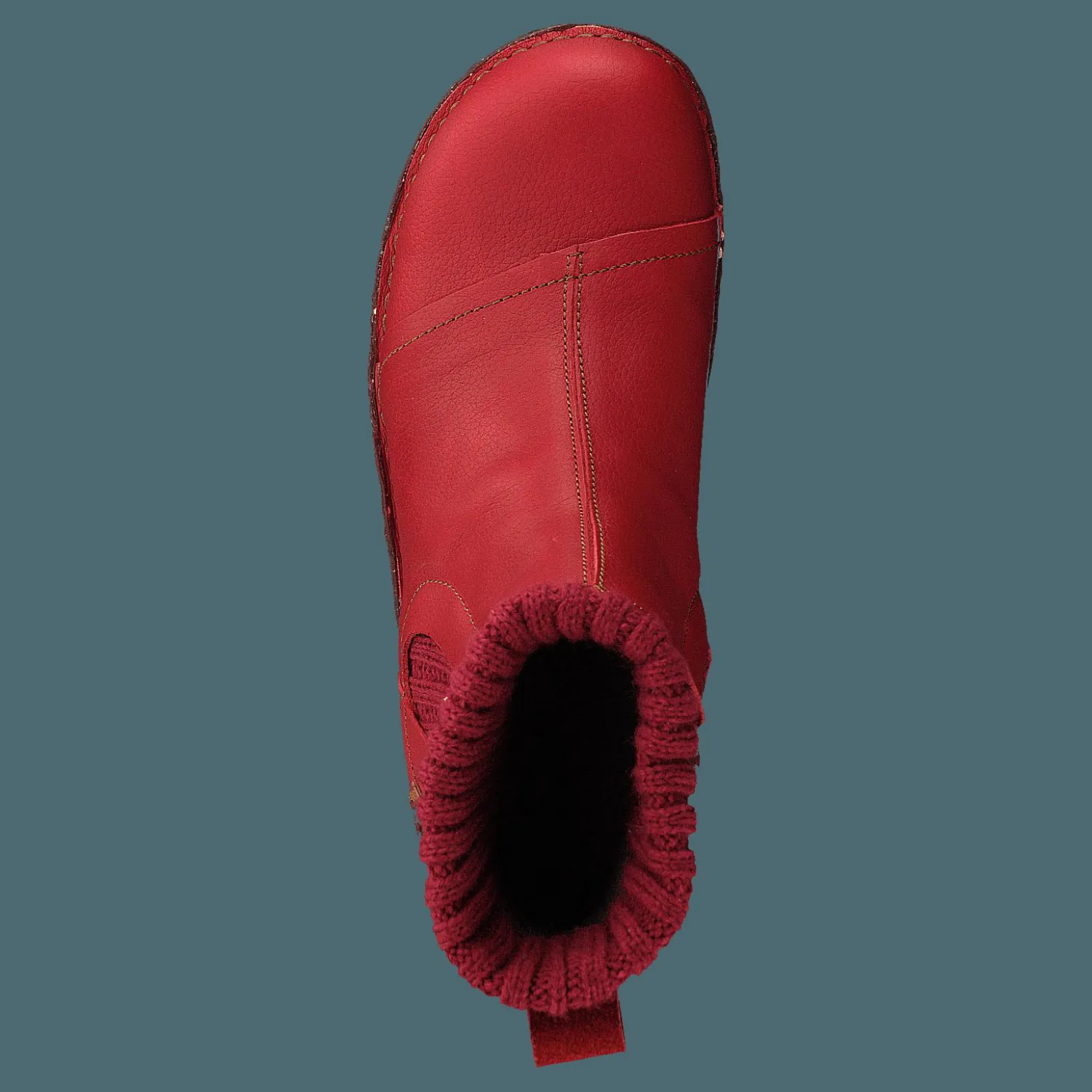 El Naturalista Yggdrasil Tibet