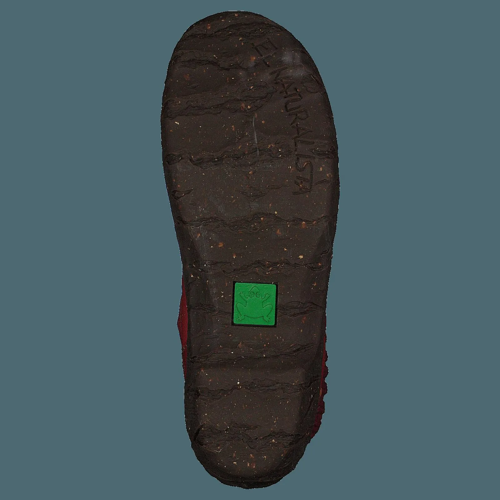 El Naturalista Yggdrasil Tibet