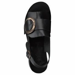 Fly London Yidi190fly Bridle Black