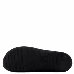 Verbenas Yoi Picos Pet Antracita