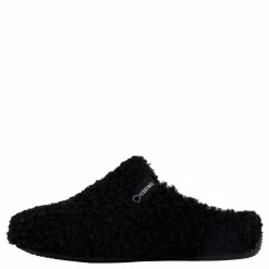 Verbenas York Curly Negro