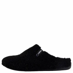 Verbenas York Nairobi Negro